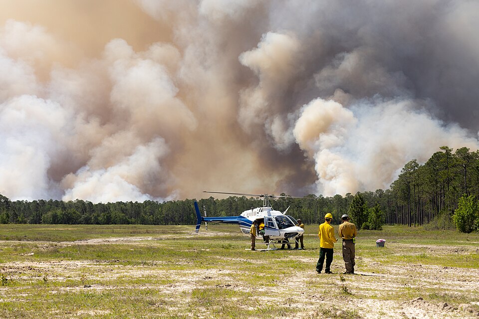 On April 14, 2025, flames ate through brush and stands of longleaf pine trees on Fort Stewart-Hunter Army Airfield in southeast Georgia, burning a total of 1,885 acres. Prescribed burns, conducted by the U.S. Department of Defense (DoD), are a routine part of the army base’s land management. However