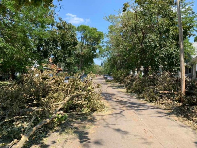 Picture of the Moundview residential neighborhood in w:Cedar Rapids, IA showing the area littered with tree debris caused by the w:August 2020 Midwest derecho.