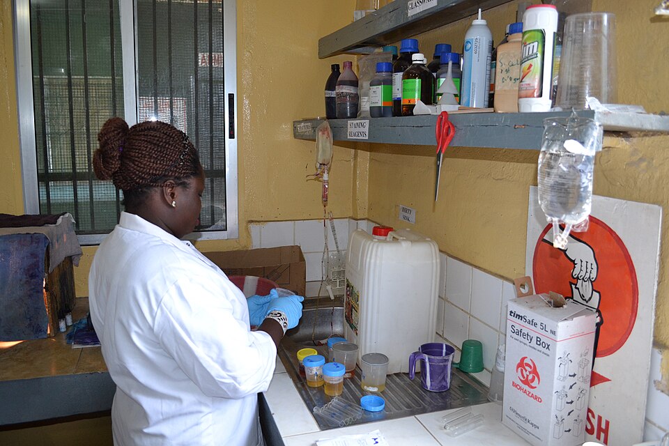 February 2016 - Liberia Labs. 
Earlier this year, Liberia faced a major test of its systems when local health officials reported the emergence of a mysterious illness in a remote town. On April 25, 2017, ten patients, five of whom died, were admitted to a rural hospital with symptoms including heada