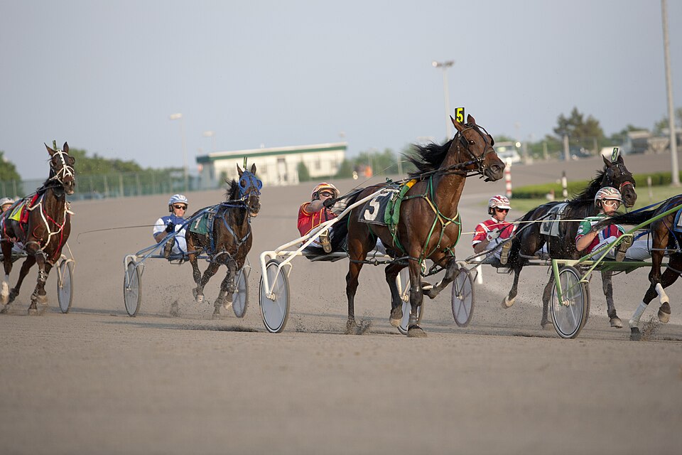 Racers on Yonkers Racetrack