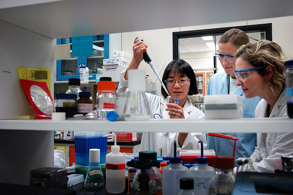 INL scientist Yoshiko Fujita works with two colleagues.