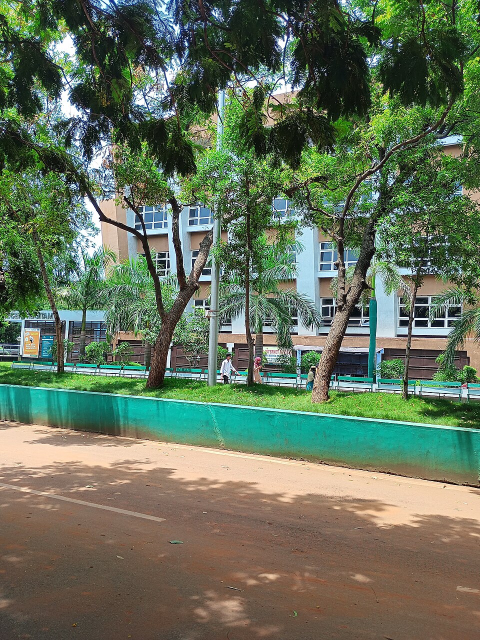 The neat road, green divider, palm trees, and the modern academic building in the background (with benches and students walking) all match the internal view of GITAM University near the Knowledge Resource Centre (KRC) side.