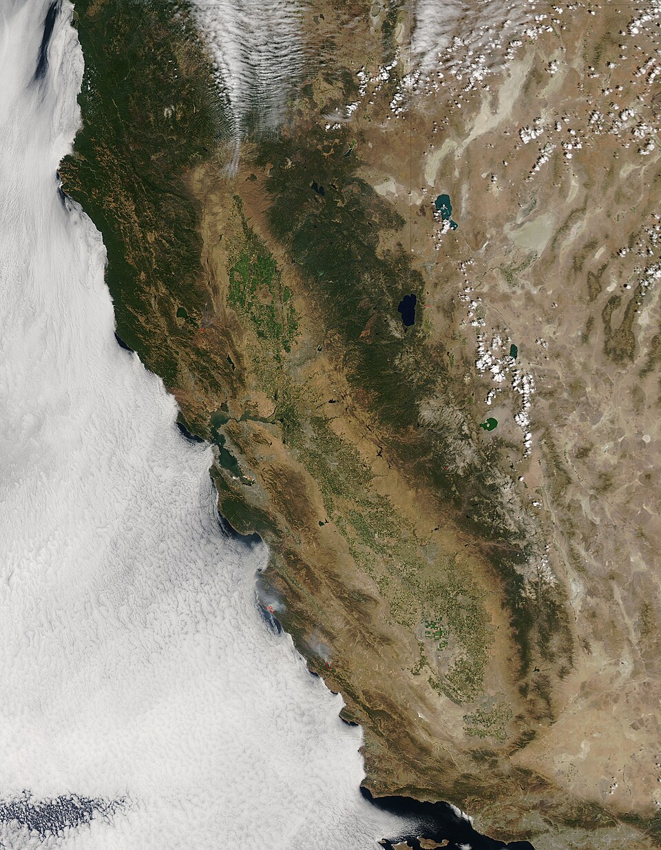 Fires continued to ravage the dry California landscape through July and mid-August 2016. The Moderate Resolution Imaging Spectroradiometer (MODIS) aboard NASA’s Aqua satellite captured this true-color image on August 14.
Although moisture-laden clouds hang over the Pacific Ocean, the only hints of m