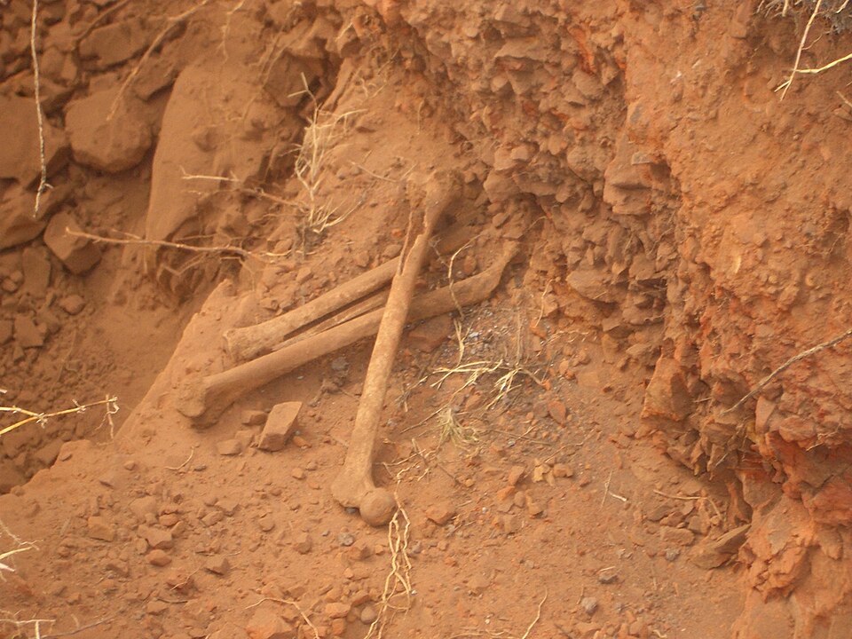 This picture was taken by Ward 5 Councillor Jeremy Davis and is used with his permission. It shows the human remains found on the site as a result of a SAHRA order to excavate and establish whether the park was indeed an old burial ground.