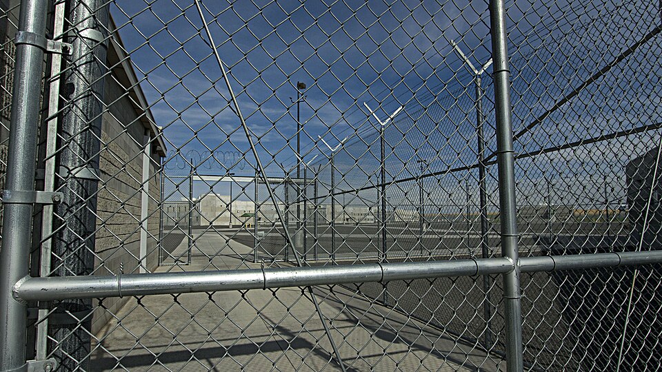 On Sept. 8, 2015, inmates at Coyote Ridge Corrections Center watered, fertilized and thinned sagebrush plants.
Photos by Jeff Clark, BLM
Story by Toshio Suzuki, BLM
A sagebrush sea change from behind barbed wire
For some Americans, sagebrush is so ubiquitous it is forgotten — always in the backgroun