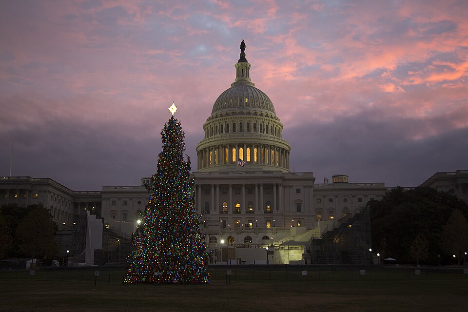 The 2016 Capitol Christmas Tree on the west lawn of the U.S. Capitol.
This beautiful 80 foot tall engelman spruce was cut on November 2, from the Little Ski Hill just west of McCall, Idaho on the Payette National Forest.
The Capitol Christmas Tree is an ongoing tradition since 1964, this year we cal