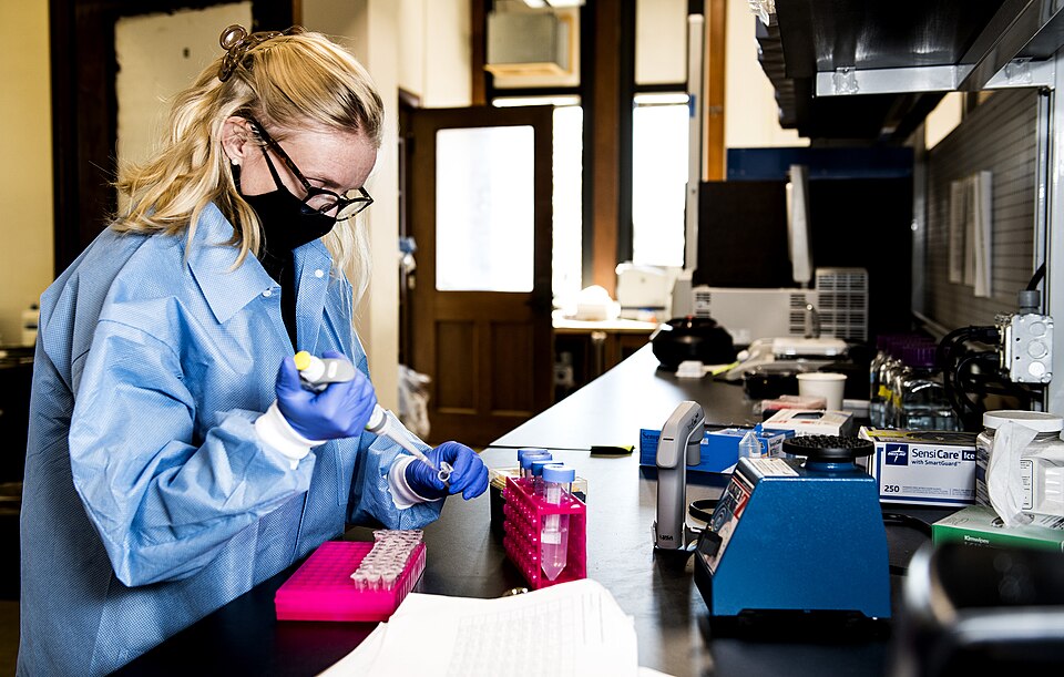 Emily McDermott, assistant professor in the department of entomology and plant pathology, prepares ticks recovered from cattle for DNA analysis. (UA System Division of Agriculture photo by Fred Miller)