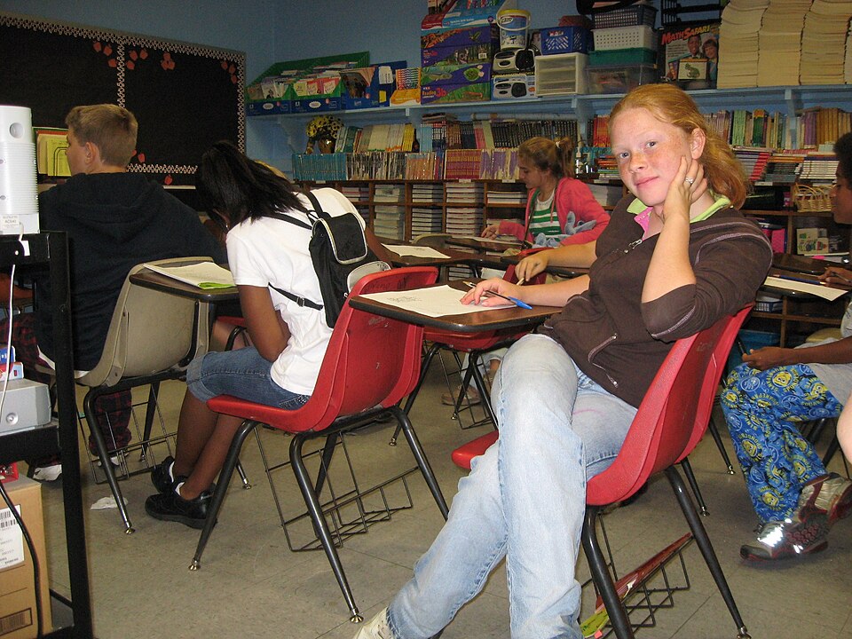 Students in an elementary school classroom