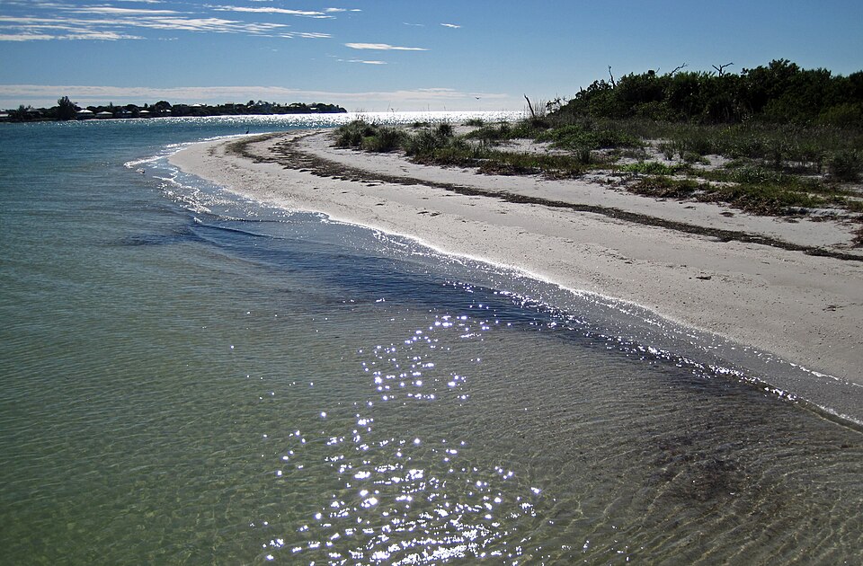 Marine beach at the southern tip of Cayo Costa Island, Florida, USA. (looking ~south) (January 2016)
Orientation: Pine Island Sound is to the left; Captiva Pass is straight ahead; North Captiva Island is the land in the distance.
Cayo Costa Island is one of dozens of barrier islands in the West-Cent