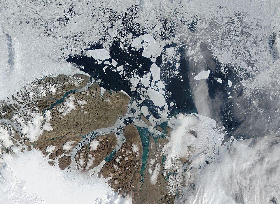 The Wandel Sea, which stretches from northeast Greenland to Svalbard, has been called the “Last Ice Area”, based on its thick, multi-year coating of year-round sea ice.
"This area has long been expected to be the primary refuge for ice-dependent species because it is one of the last places where we 
