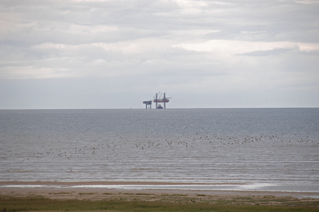 Gas rig in the Irish sea off Ainsdale snapped from the dunes as a flock of seabirds fly by