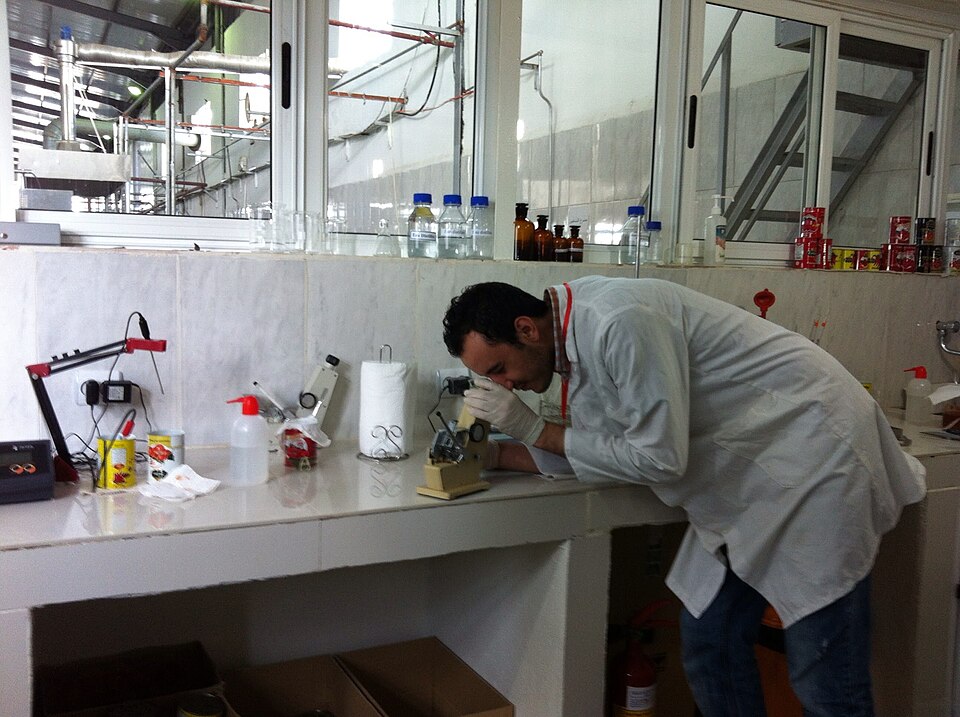 Bilal Djeghout Laboratory