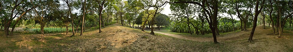 The ancient mound of Chandraketugarh or king Chandraketu's fortified city is located in the district of North 24 Parganas, 38 Km north-east of Calcutta (Kolkata) in West Bengal, India. It falls under the localities Berachampa in the police station of Deganga. The history of Chandraketugarh dates bac