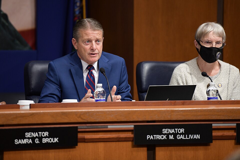 speaks during a public meeting on opioid overdoses during Covid-19.
Hearing Room A-Legislative Office Building, Albany NY 

Photo courtesy of NYS Senate Media Services