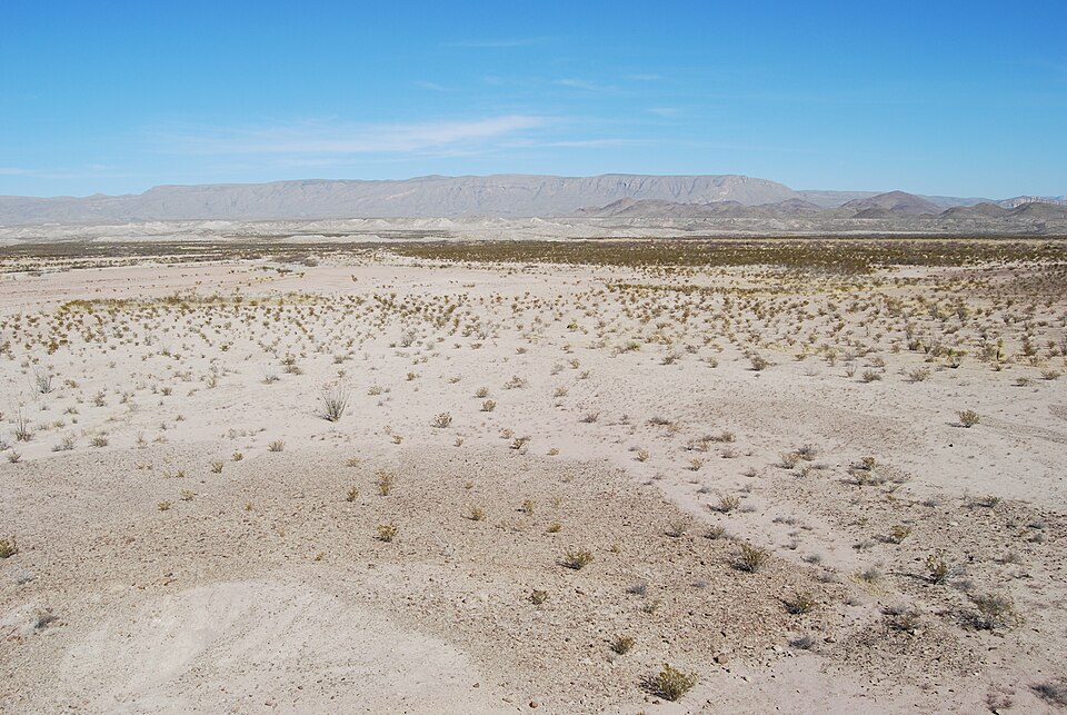 A view across the desert landscape of Big Bend National Park, Texas.
