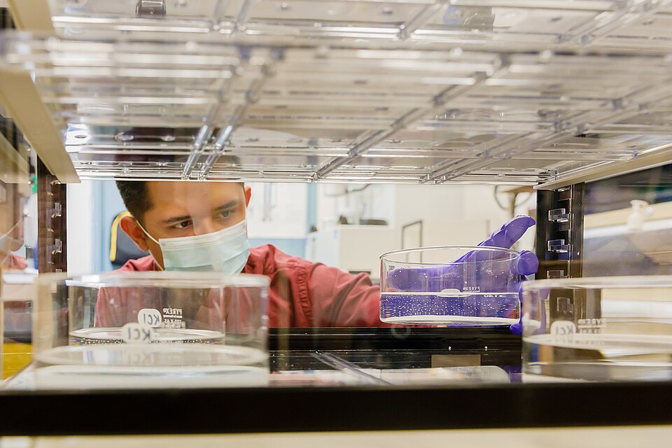 A team of Sandia researchers tested materials for Albuquerque companies looking to manufacture N95-like respirators that could be used in local medical facilities. The project originated from the urgent need for personal protective equipment when the COVID-19 outbreak began.
The three local small bu