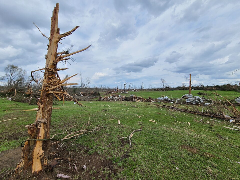 Heavy EF3 damage to trees in a debris-strewn field south of Sawyerville, Alabama.
No comments on DAT.