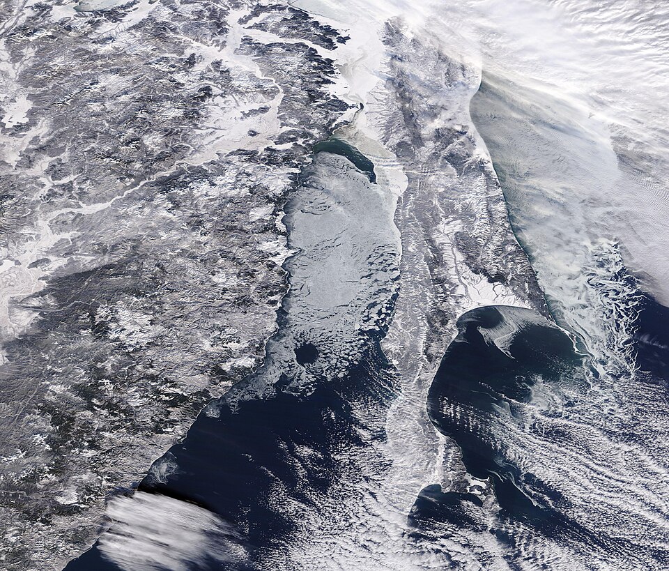 As Moscow struggles with one of the warmest winters on record, a small coastal village in Russia’s Far East describes more than 50 polar bears, unable to hunt on the thin sea ice, gathering close to the town edges—so close that the villagers set up patrols to monitor their movements.
According to th