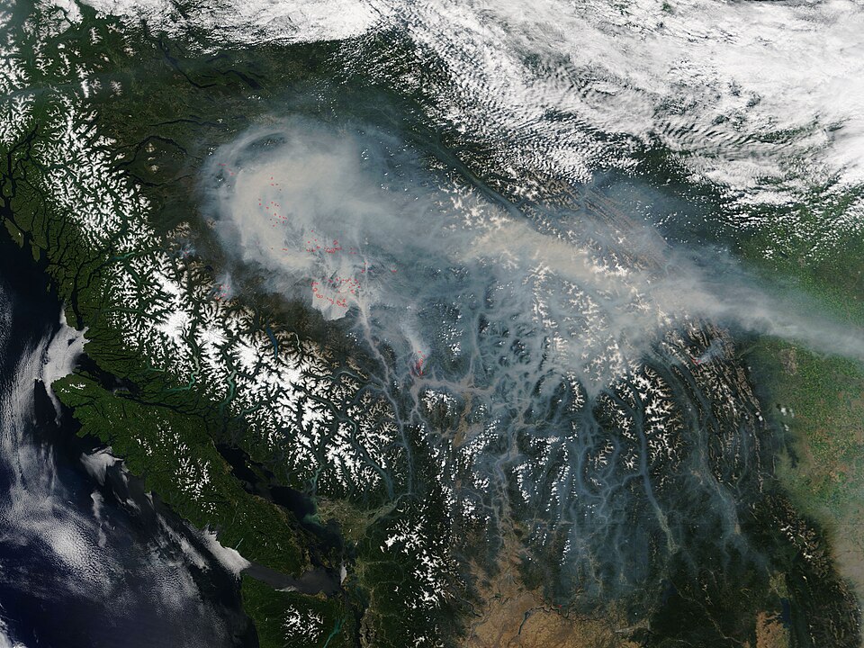 By July 2017, the forests of south-central British Columbia were primed to burn. Abnormally hot, dry weather had stressed vegetation and dried out the soil, and many forests were already full of dead trees because of infestations of mountain pine beetles. When lightning storms passed over the region