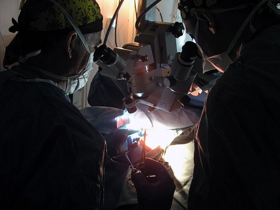 Central Command Area of Responsibility (Apr. 12, 2003) -- Navy Capt. Clint Fletcher an Ophthalmologist from Pensacola, Fla. (left) and Hospital Corpsman 3rd Class Bryan Triplet from Manteca, Calif., operate on an unidentified Iraqi prisoner of war’s (EPW) eye in one of two Fleet Hospital Three (FH-3