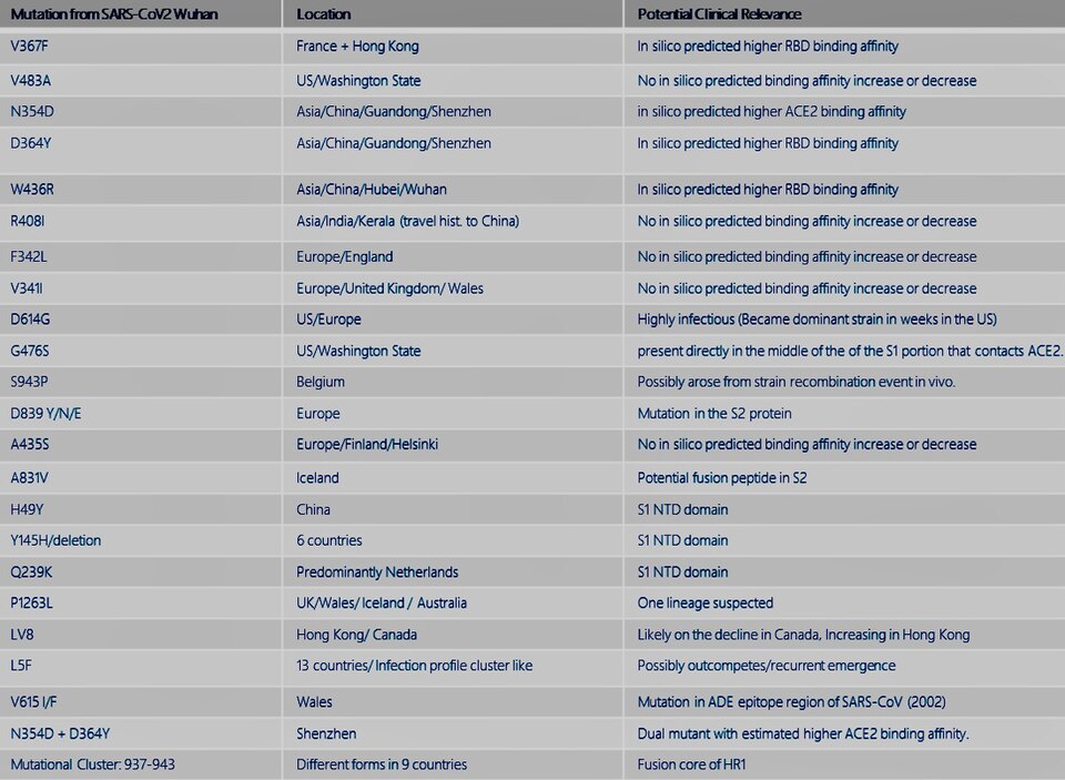 The novel coronavirus is getting ever more novel.  
TLDR;  SARS-CoV-2 mutates regularly, and we are seeing location-based virus evolution during the lockdown period.  A single mutation could impact the universality of any vaccine, antibody therapy or drug targeting the binding domain.  It also creat