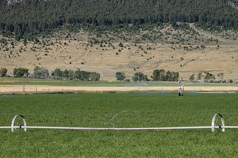 P&amp;J Ranches Producer Steve Burke (black baseball cap) and other landowners use water from the Ruby Reservoir at the base of the Ruby Mountains where water flows along the West Bench Canal, just above the mountain base, above the farmlands; along the way, improved U.S. Department of Agriculture (