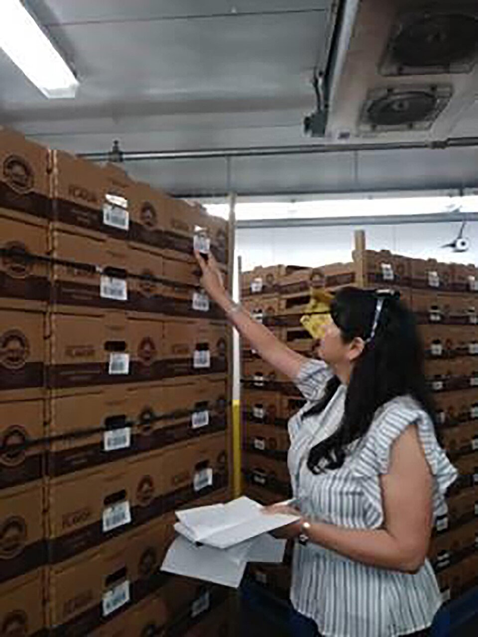 MIAMI— U.S. Customs and Border Protection (CBP) import specialists reeled in $7.6 million since May in duties from 676 shipments of imported tilapia, thanks in part to the newly launched Operation Just Keep Swimming. Launched on May 12, Operation Just Keep Swimming addresses the evasion of Chinese 3