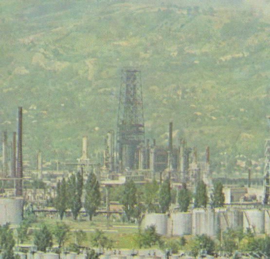 Instalația de cocsare întârziată (CI), în greutate de 1100 tone și o înălțime de 65 m.