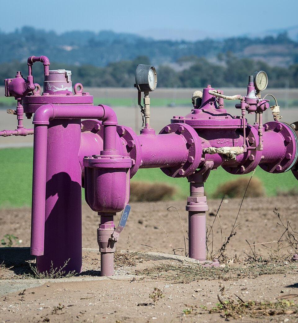 Pajaro Valley Water Management Agency (PVWMA) sanitized wastewater is identified by purple pipes used deliver water to growers who use it as is or in blends with salty ground (well) water to reduce the salt content for agriculture use, in Watsonville, CA, on Thursday, August 27, 2015. 
The Pajaro Va
