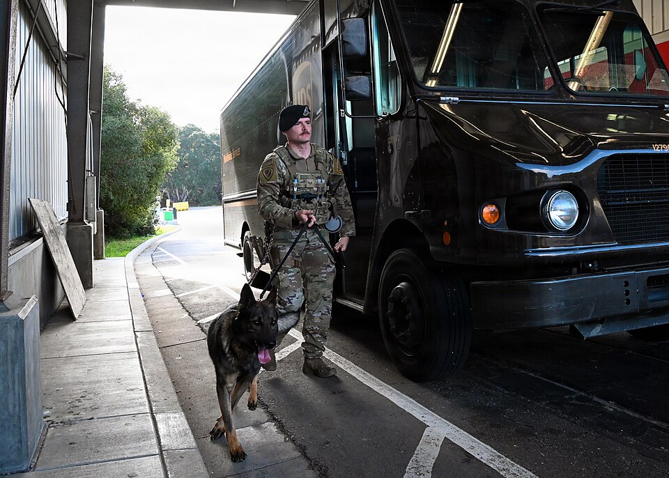 U.S. Air Force Staff Sgt. Tyler Jenkins, 30th Security Forces military working dog handler, conducts a vehicle search with Joker, 30th SFS MWD, near a security checkpoint at Vandenberg Space Force Base, Calif., Jan. 22, 2026. MWD teams support installation security by detecting threats while conduct