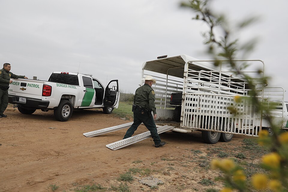 U.S. Border Patrol agents unload a "gator" utility vehicle from a trailer while searching vast ranch