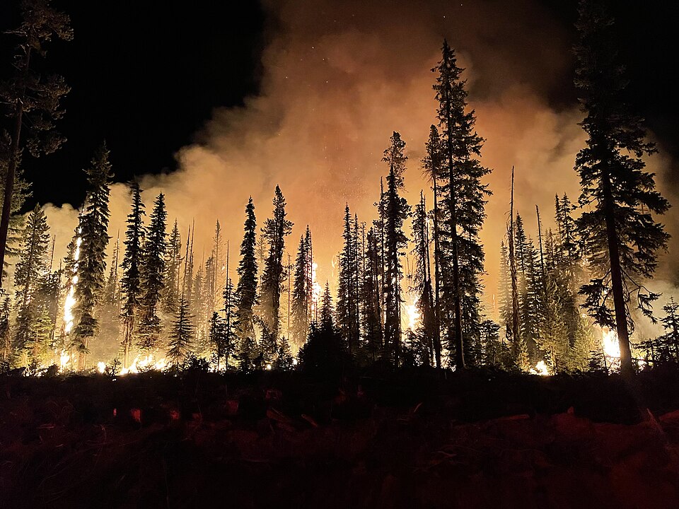 Forest fire at Umatilla National Forest. Photo by Brendan O'Reilly. "Lick" refers to the place where the wildfire occured, the Lick Creek.