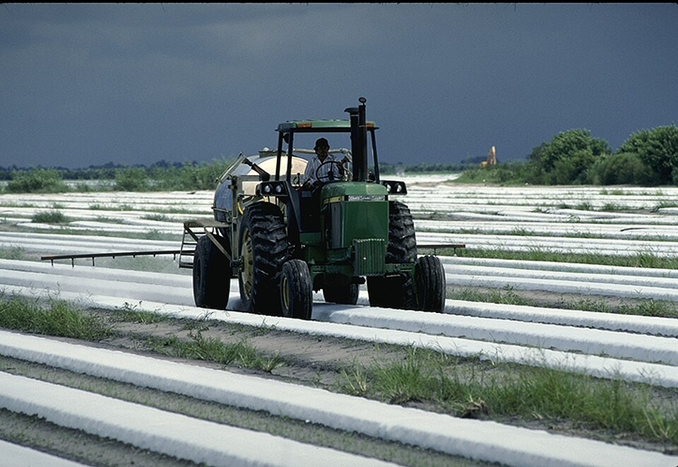 spraying crops