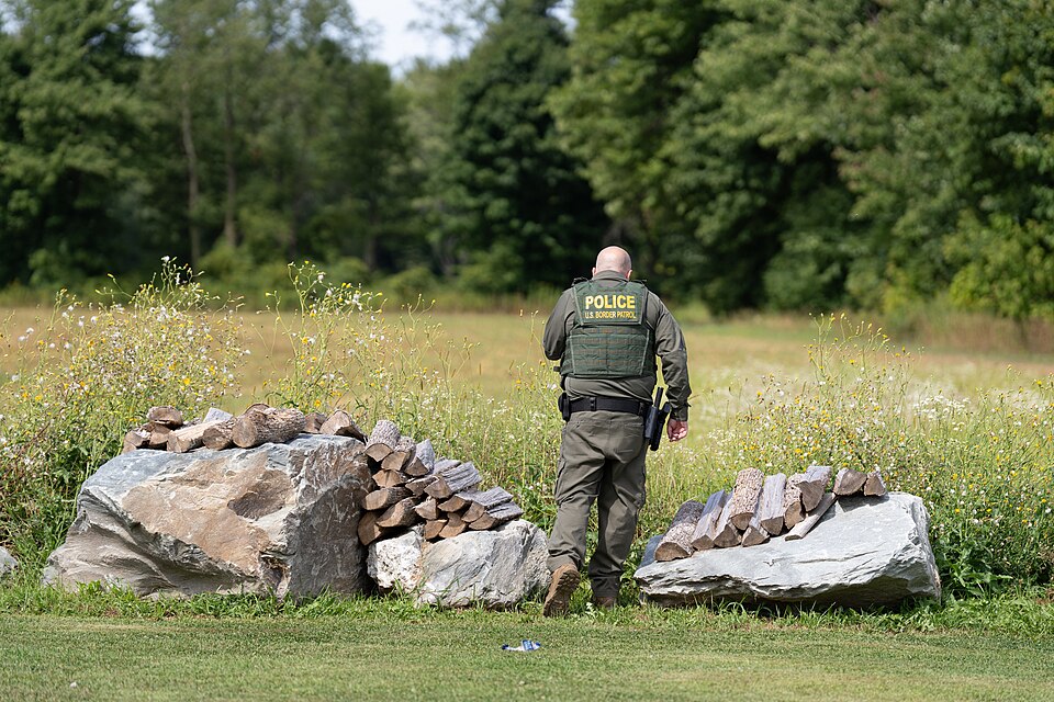A Swanton Sector Border Patrol Agent checks for foot sign in the brush along the border between the 