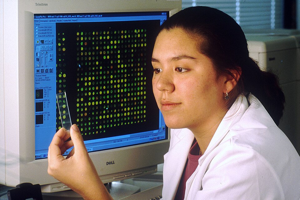 Title Computer with Microarray
Description Female laboratory technician sitting at computer that dis
