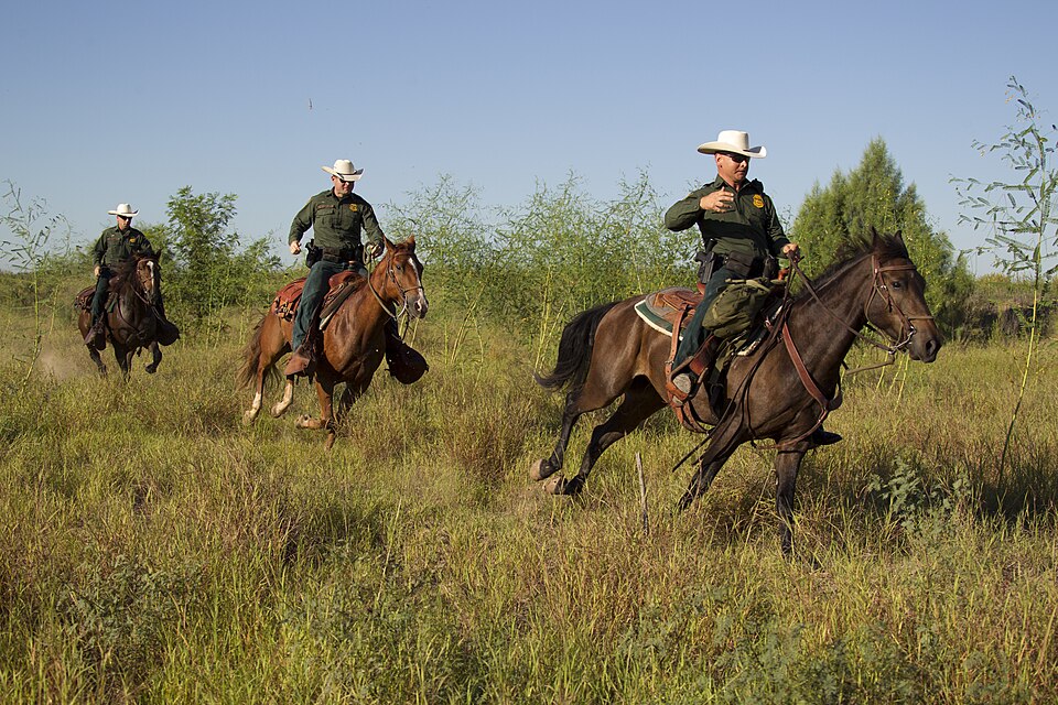 CBP, Border Patrol agents from the McAllen station horse patrol unit on patrol on horseback in South Texas.

Photographer: Donna Burton