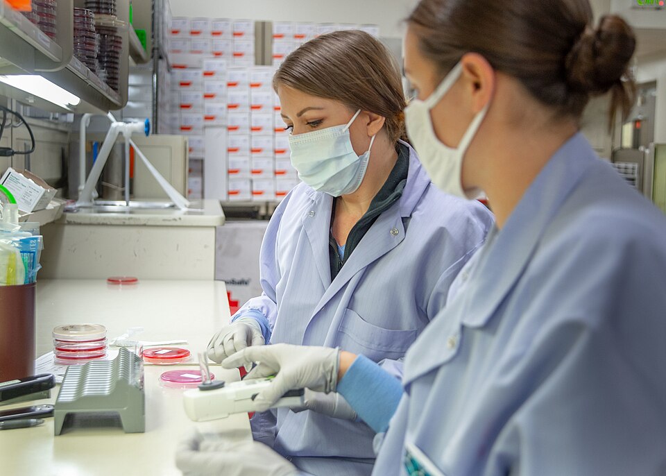 201019-N-DA693-1002
SAN DIEGO (Oct. 19, 2020) Peggy Sayles, a medical student (left), and Hospital Corpsman 2nd Class Brittni Porter, a laboratory technician assigned to Naval Medical Center San Diego’s (NMCSD) microbiology laboratory (right), sort and process drug susceptibility tests Oct. 19. Drug